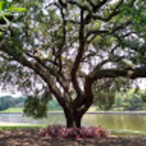 Meet your Posher, Cat